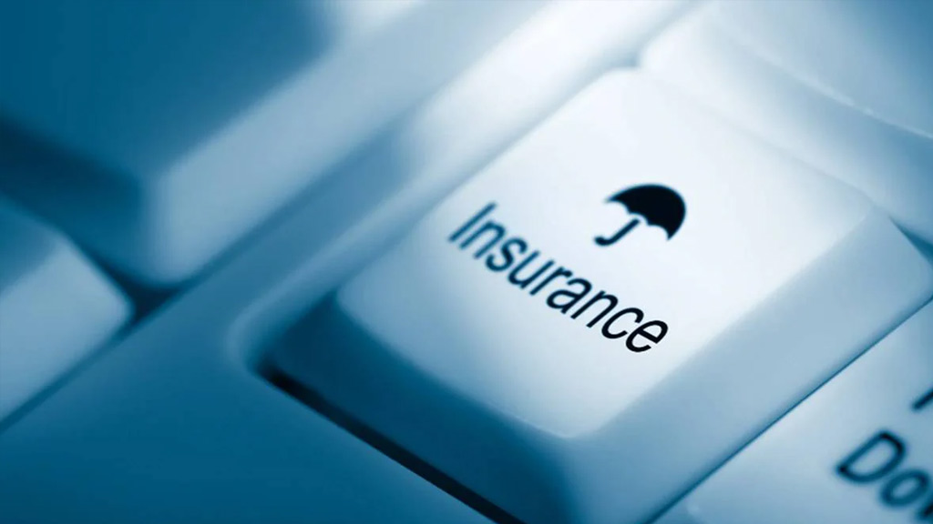 Insurance Samadhan Mint Coverage
