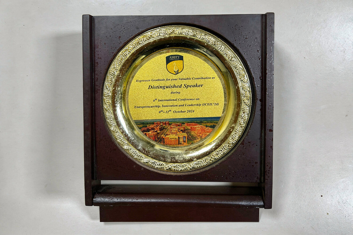 Insurance Samadhan Mint Coverage